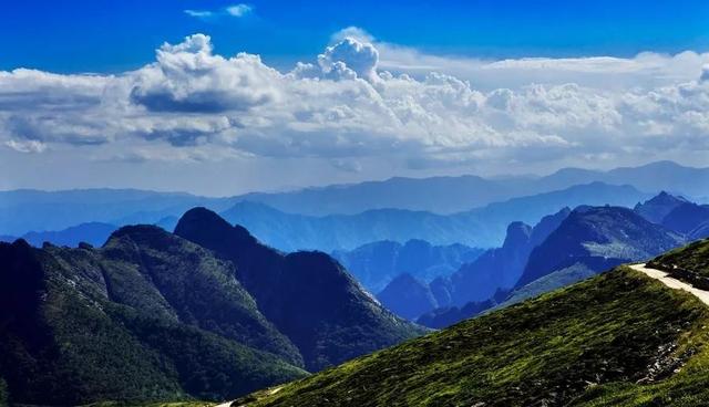 【情形保；ぁで亓肷课靼彩谐中棺ㄏ钚卸 清山查套清网 源头筑牢防线